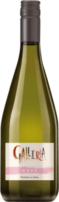 Masottina Galleria Frizzante Rosé Glera Prosecco 75 cl