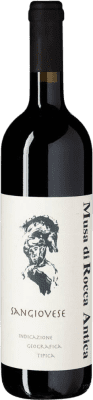 Musa di Rocca Antica Sangiovese Terre di Chieti 75 cl