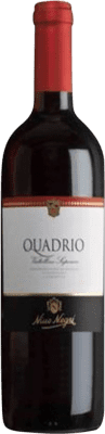 Nino Negri Quadrio