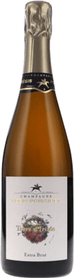 Régis Poissinet Terre d'Irizée Extra Brut Champagne 75 cl