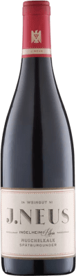 Villa Neus Neus Muschelkalk Pinot Black 干 Gutswein 75 cl