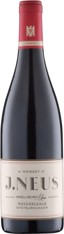 Free Shipping | Red wine Villa Neus Neus Muschelkalk Dry V.D.P. Gutswein Rheinhessen Germany Pinot Black 75 cl