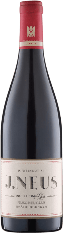 11,95 € | Red wine Villa Neus Neus Muschelkalk Dry V.D.P. Gutswein Rheinhessen Germany Pinot Black 75 cl