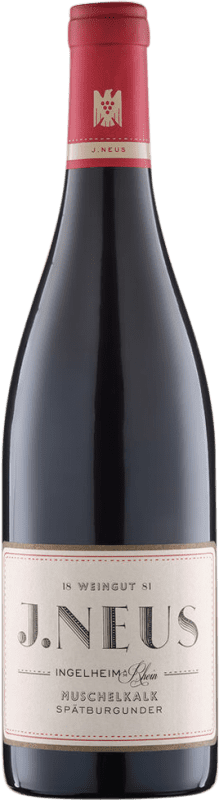 24,95 € Envio grátis | Vinho Tinto Villa Neus Neus Muschelkalk Trocken — Seco VDP Gutswein — Vinho de Propriedade Q.b.A. Rheinhessen