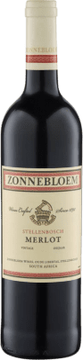 Zonnebloem