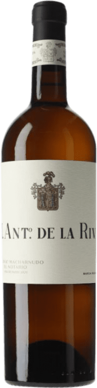 Free Shipping | White wine De la Riva Macharnudo I.G.P. Vino de la Tierra de Cádiz Andalusia Spain Palomino Fino 75 cl