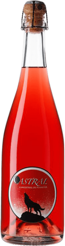 34,95 € Envío gratis | Vino Rosado Nin-Ortiz Astral Ancestral