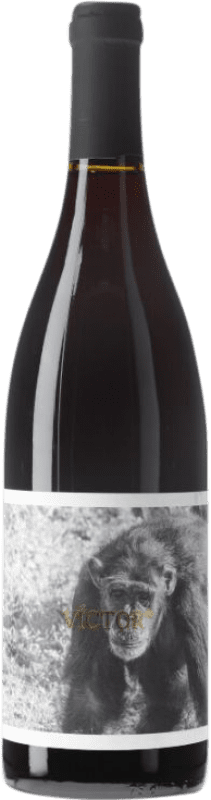 10,95 € | Красное вино La Vinyeta Els Monos Víctor Negre D.O. Empordà Каталония Испания 75 cl