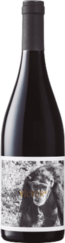 16,95 € Envio grátis | Vinho Tinto La Vinyeta Els Monos Víctor D.O. Empordà