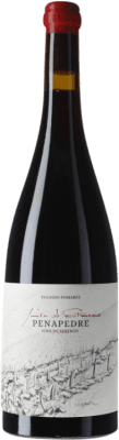 Fento O Estranxeiro Finca Penapedre Ribeira Sacra 75 cl