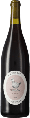 Raventós Marqués d'Alella Anec Mut Negre