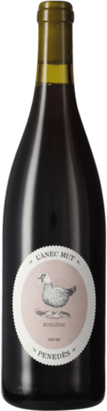 6,95 € Envío gratis | Vino tinto Raventós Marqués d'Alella Anec Mut Negre D.O. Penedès
