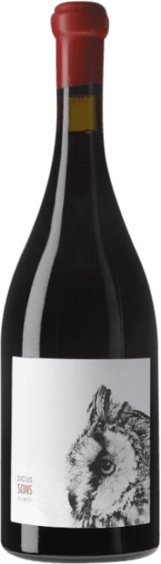 42,95 € | Red wine Sicus Sons D.O. Penedès Catalonia Spain Sumoll 75 cl