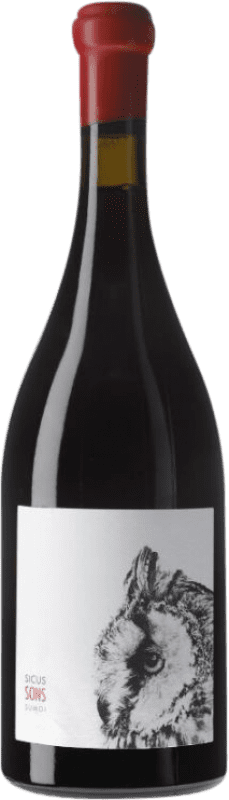 63,95 € Free Shipping | Red wine Sicus Sons D.O. Penedès