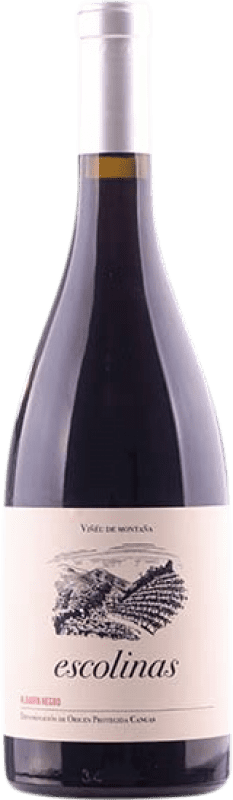 Free Shipping | Red wine Escolinas D.O.P. Vino de Calidad de Cangas Principality of Asturias Spain Albarín Black 75 cl