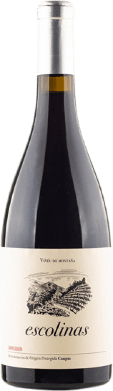 18,95 € | Красное вино Escolinas D.O.P. Vino de Calidad de Cangas Княжество Астурия Испания Carrasquín — Карраскин 75 cl
