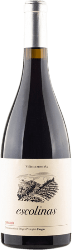 Free Shipping | Red wine Escolinas D.O.P. Vino de Calidad de Cangas Principality of Asturias Spain Carrasquín 75 cl