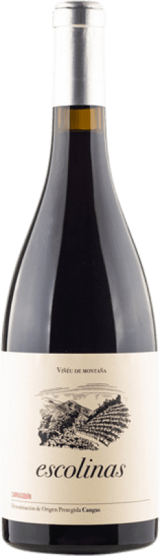 18,95 € | Red wine Escolinas D.O.P. Vino de Calidad de Cangas Principality of Asturias Spain Carrasquín 75 cl