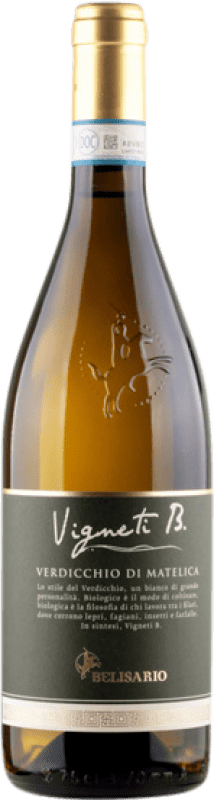 14,95 € | Белое вино Cantine Belisario Vigneti B D.O.C. Verdicchio di Matelica Marche Италия Verdicchio — Вердиккьо 75 cl