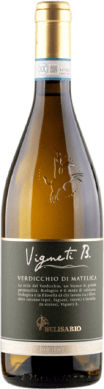 免费送货 | 白酒 Cantine Belisario Vigneti B D.O.C. Verdicchio di Matelica 马尔凯 意大利 Verdicchio 75 cl