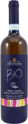 Rinomata Cantina Tombacco Trevisana Pinot Gris — 灰皮诺 Treviso Bio — 生态 有机 天然 75 cl