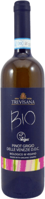 Rinomata Cantina Tombacco Trevisana Biológico Pinot Grigio Treviso 75 cl