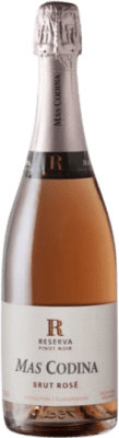 Mas Codina Pinot Noir Brut — Bruto Cava Rosé Reserva 75 cl
