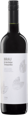 Sant Josep Brau de Bot