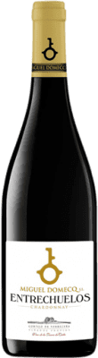 Entrechuelos Chardonnay — Шардоне Vino de la Tierra de Cádiz молодое 75 cl