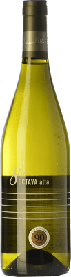 Abremundos Octava Alta Blanc de Blancs 岁