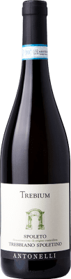Antonelli San Marco Spoletino Trebium Trebbiano Umbria Ecológico 75 cl