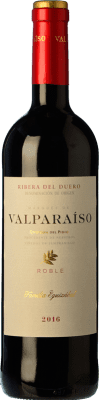 Valparaíso Oak