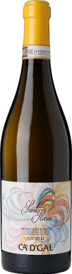 Ca' d' Gal Canelli Sant'Ilario Moscato Bianco Moscato d'Asti 75 cl