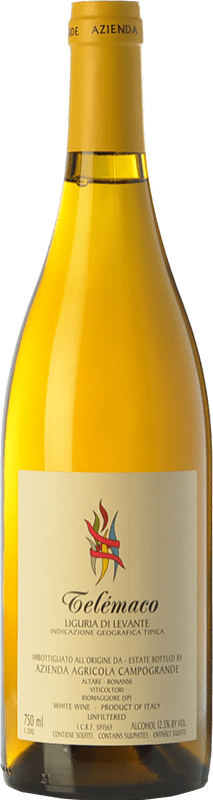Kostenloser Versand | Weißwein Campogrande Telemaco I.G.T. Liguria Ligurien Italien Albarola, Bosco 75 cl