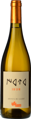 Ficaria Irur Crianza — Invecchiato in Botte