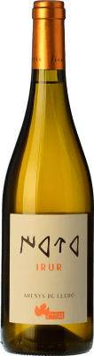 Ficaria Irur Blanc Aged