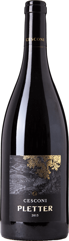 24,95 € | Красное вино Cesconi Pletter I.G.T. Vigneti delle Dolomiti Трентино-Альто-Адидже Италия Lagrein 75 cl