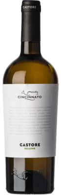 Cincinnato Bellone Castore