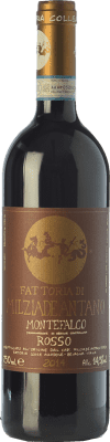Colleallodole Montefalco 75 cl