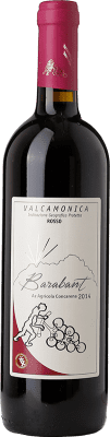 Concarena Barabant Valcamonica 75 cl