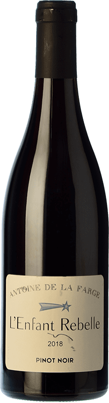 Бесплатная доставка | Красное вино Antoine de la Farge L'Enfant Rebelle Rouge Молодой Франция Pinot Black 75 cl