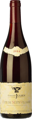 Domaine Julien Pinot Negro Côte de Nuits-Villages Crianza 75 cl