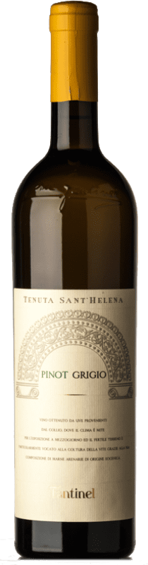16,95 € | 白ワイン Fantinel Sant'Helena D.O.C. Collio フリウリ - ヴェネツィアジュリア イタリア Pinot Grey 75 cl