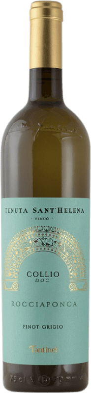 Kostenloser Versand | Weißwein Fantinel Sant'Helena D.O.C. Collio Friaul-Julisch Venetien Italien Pinot Gris — Grauburgunder 75 cl