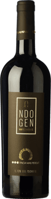 Mas Perdut Endògen Samsó Penedès Crianza — Aged 75 cl