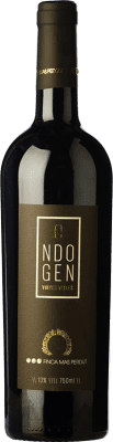 Mas Perdut Endògen Negre Samsó Penedès Aged 75 cl