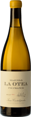 Cantalapiedra Majuelo La Otea Pie Franco Verdejo Crianza Ecológico 75 cl