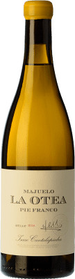 Cantalapiedra Majuelo La Otea Pie Franco Verdejo Aged 75 cl