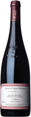 Philippe Delesvaux Rouge Le Roc Cabernet Franc Anjou Ecológico 75 cl