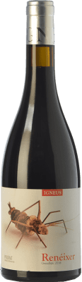 Mas Igneus Renéixer Negre Priorat 橡木 75 cl